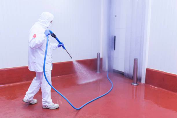 Best Driveway Pressure Washing  in Cerro Gordo, IL